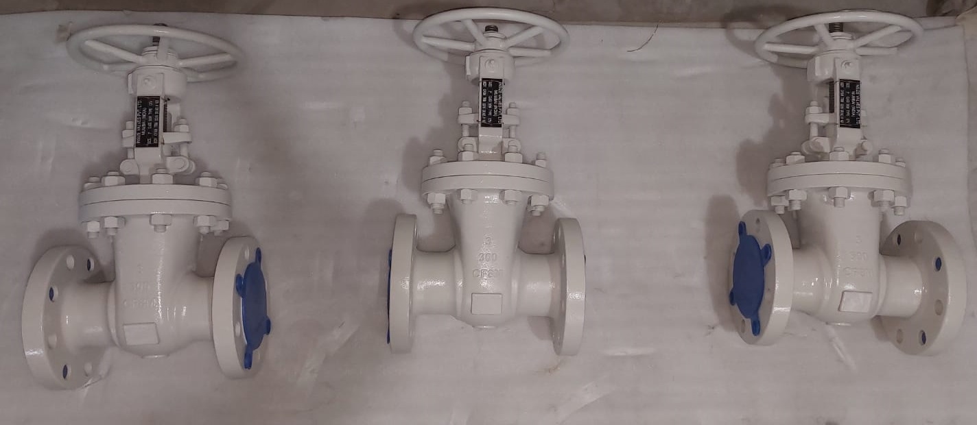 3'' X 300#, GATE VALVE, CF8M, HAND WHEEL OPERATED